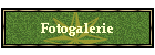 Fotogalerie